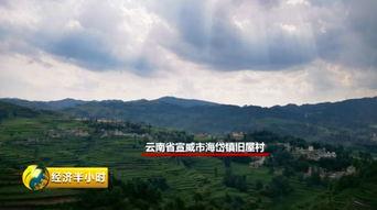 海岱镇头条,聚焦发展动态，展现魅力小镇新篇章